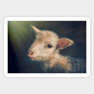 Lamb portrait Sticker